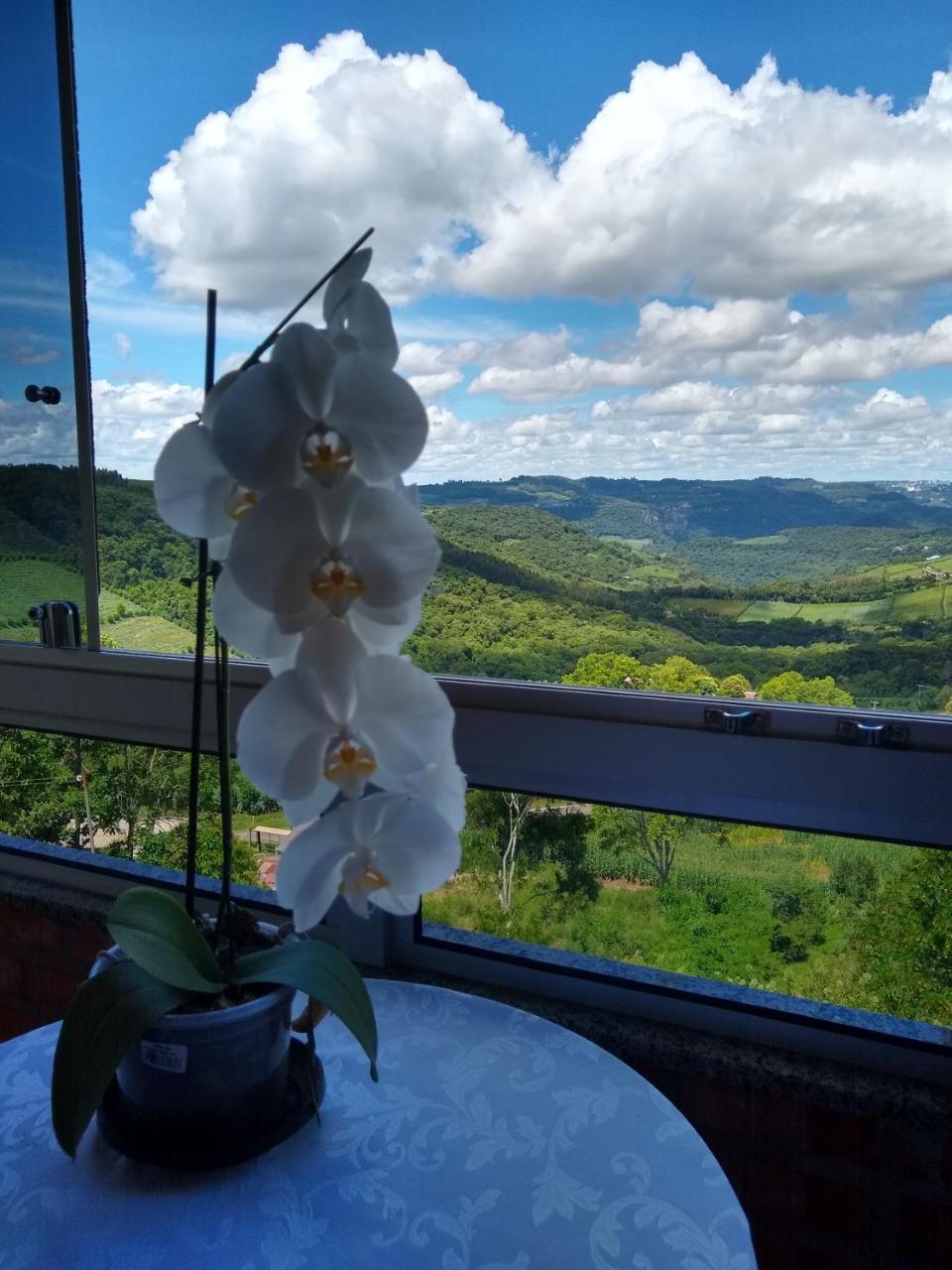 Casa Temporada Monte Belo Do Sul Villa Monte Belo dol Sul Eksteriør billede